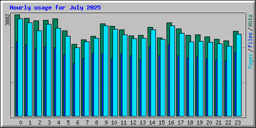 Hourly usage for July 2025